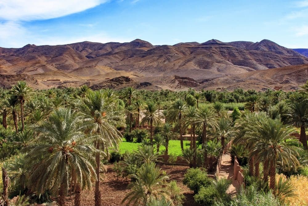 Magical 7 Day Morocco Tour Journey From Casablanca To Marrakech